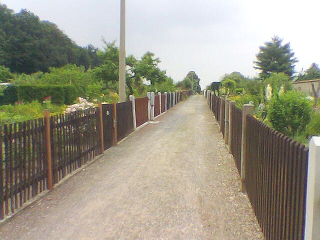 Gartenweg zwischen den Parzellen